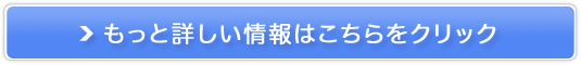 日経電子版＋ＳＩＭ販売サイトへ